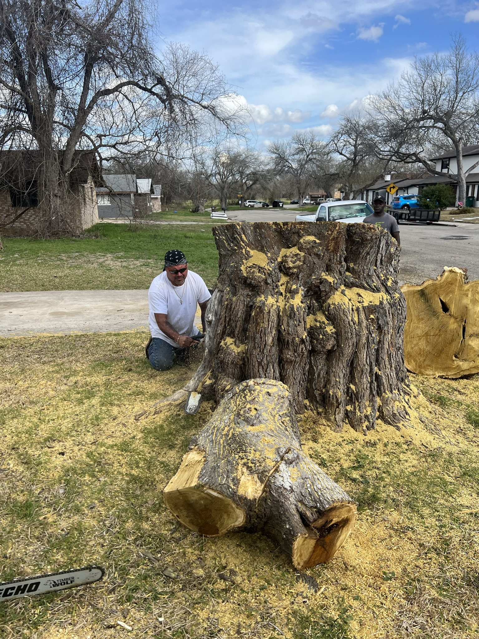 Completed large tree removal project in Central Texas
